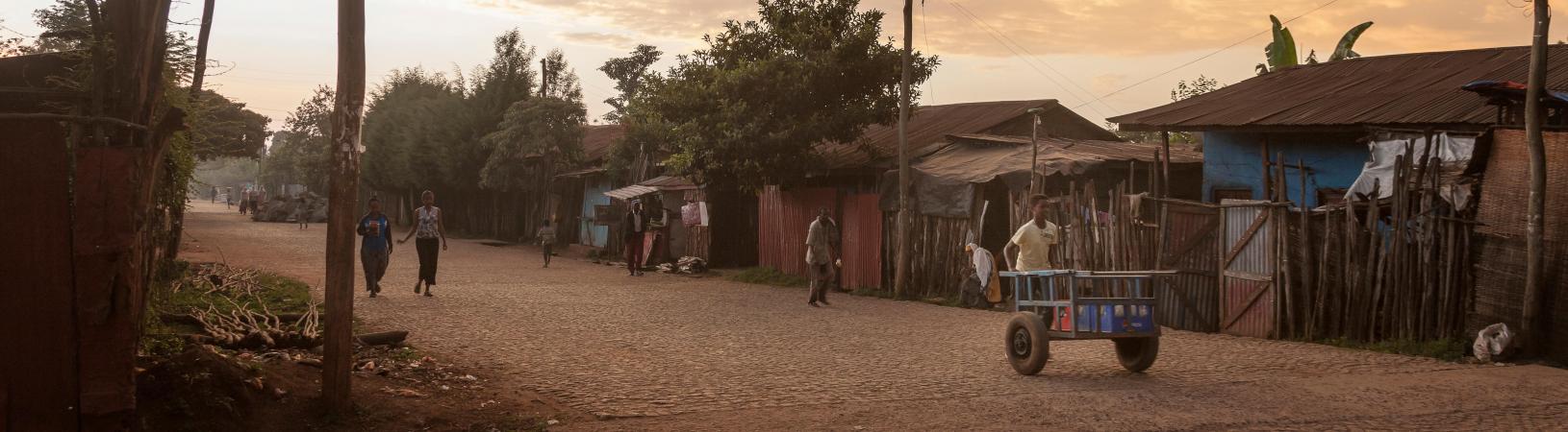 Ethiopia boy pulling handcart past electricity poles 